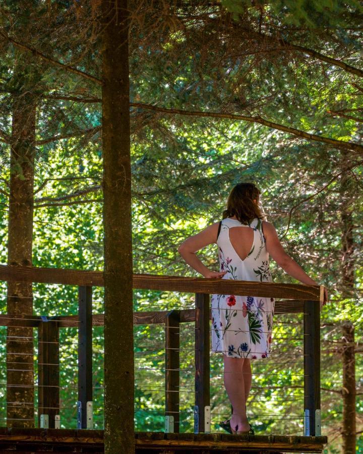 Novosiele Residence - Nad Gorska Rzeka - Lesne Spa Sauna Jacuzzi - Bieszczady Bystre  Exterior foto